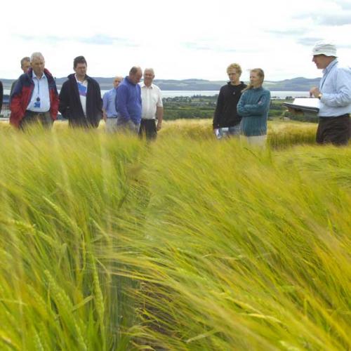 Arable Scotland